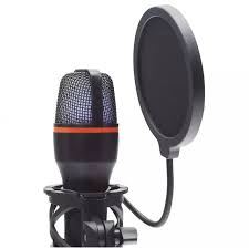 Hadron ME4 Profesyonel RGB Gaming Mikrofon - 192kHz/24Bit USB ve Type-C Bağlantılı Siyah