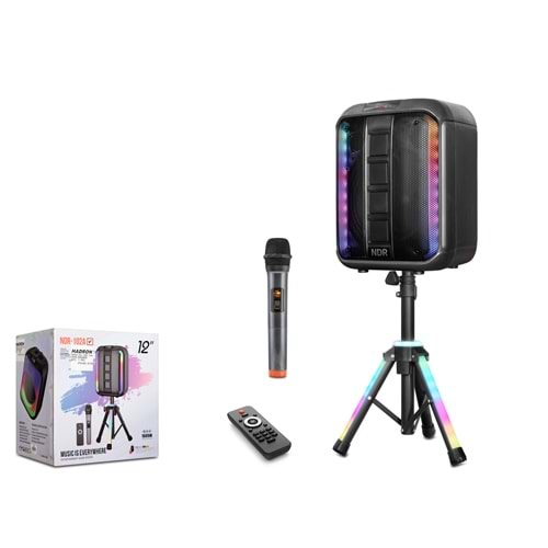 NDR NDR102A Bluetooth Hoparlör FM Radyo 12 İnç USB TF AUX RGB Mikrofonlu Kumandalı - Siyah