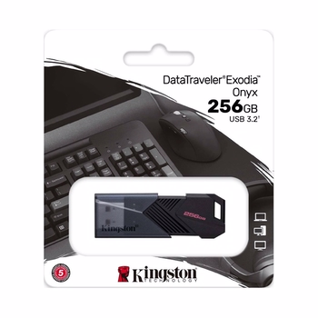 Kingston 256GB USB3.2 GEN1 Data Traveler DTX/256GB